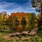 Herbst an der Fulda bei Kassel