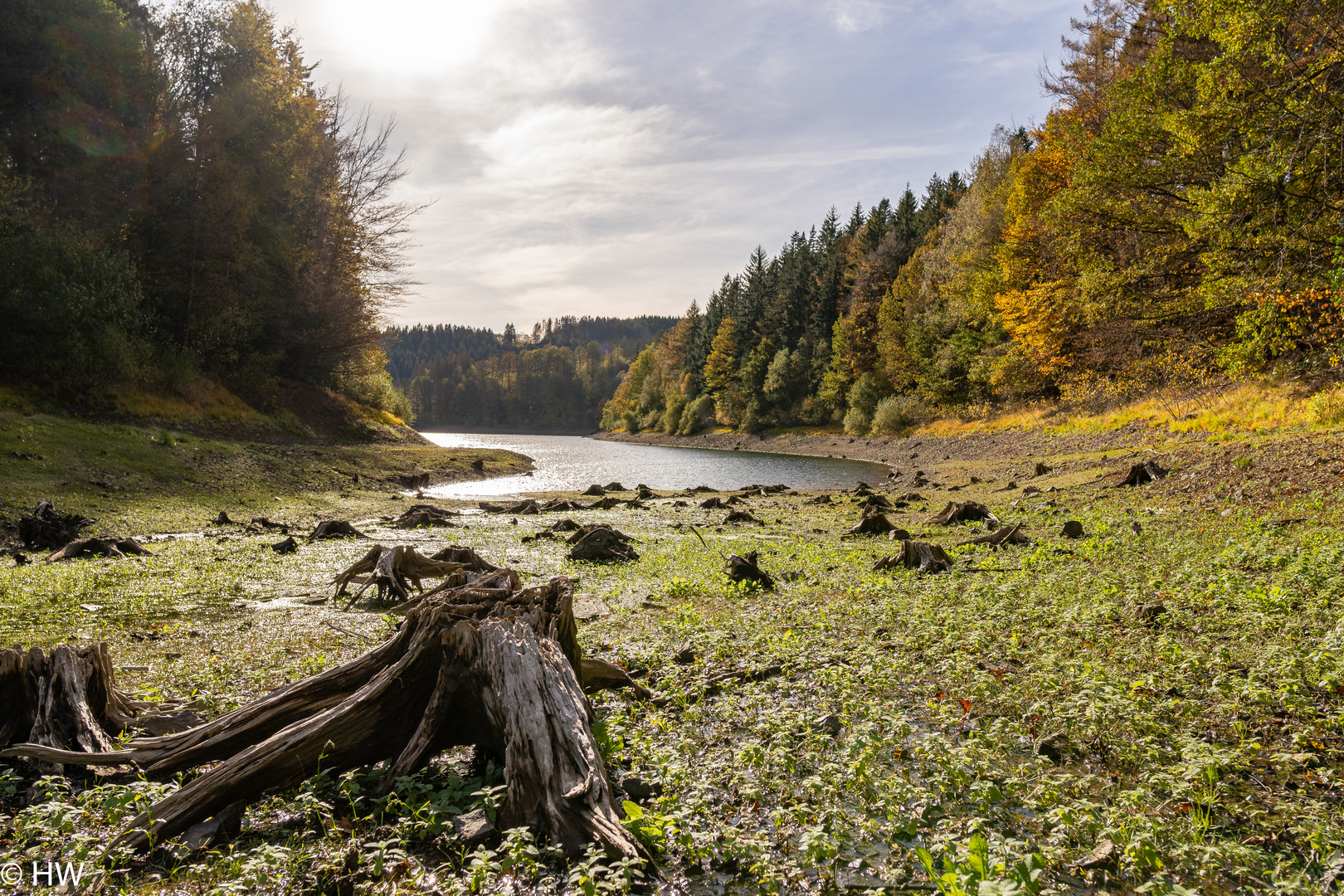 Herbst an der Genkel