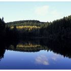 Herbst an der Genkeltalsperre