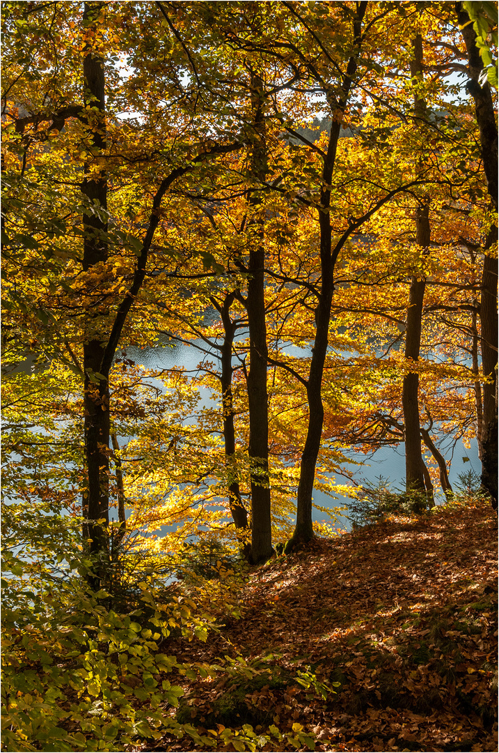 Herbst an der Glörtalsperre