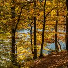 Herbst an der Glörtalsperre