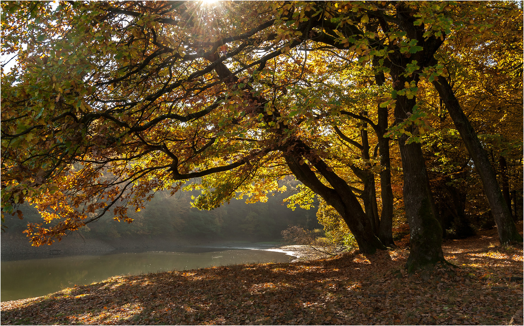 Herbst an der Glörtalsperre ...