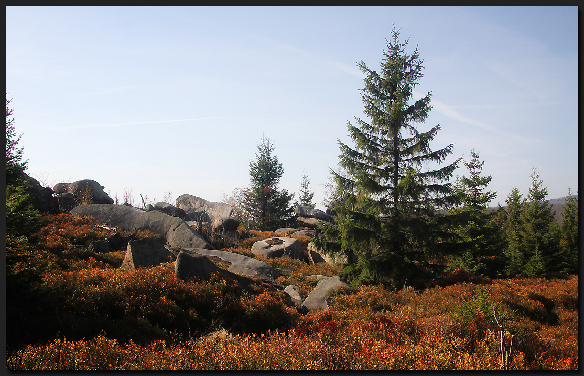 ...Herbst an der GrenzKlippe...