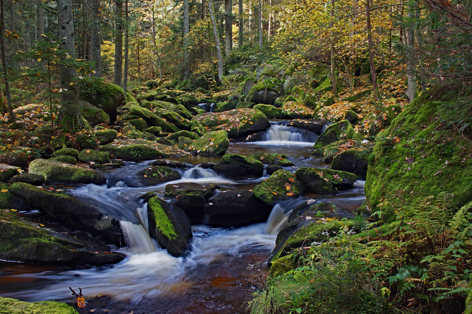 Herbst an der Großen Kamp