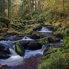 Herbst an der Großen Kamp