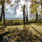 Herbst an der Havel