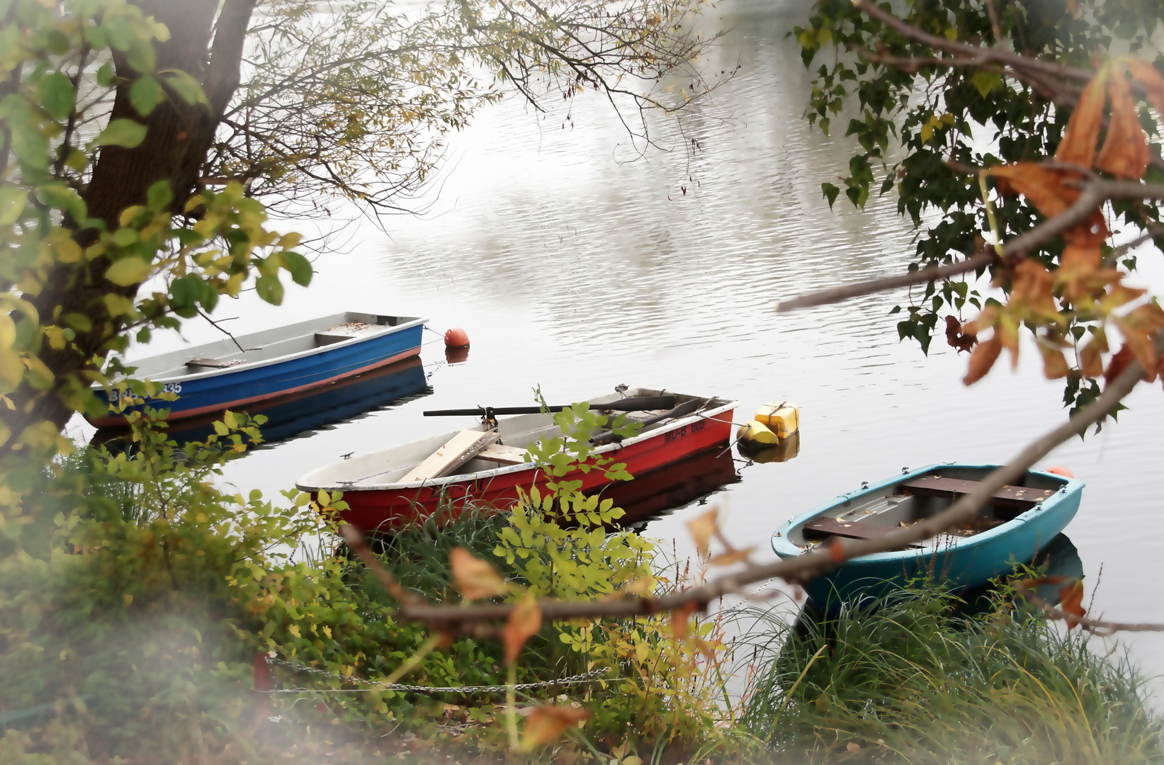 Herbst an der Havel