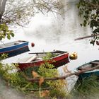 Herbst an der Havel