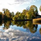 Herbst an der Havel (V)