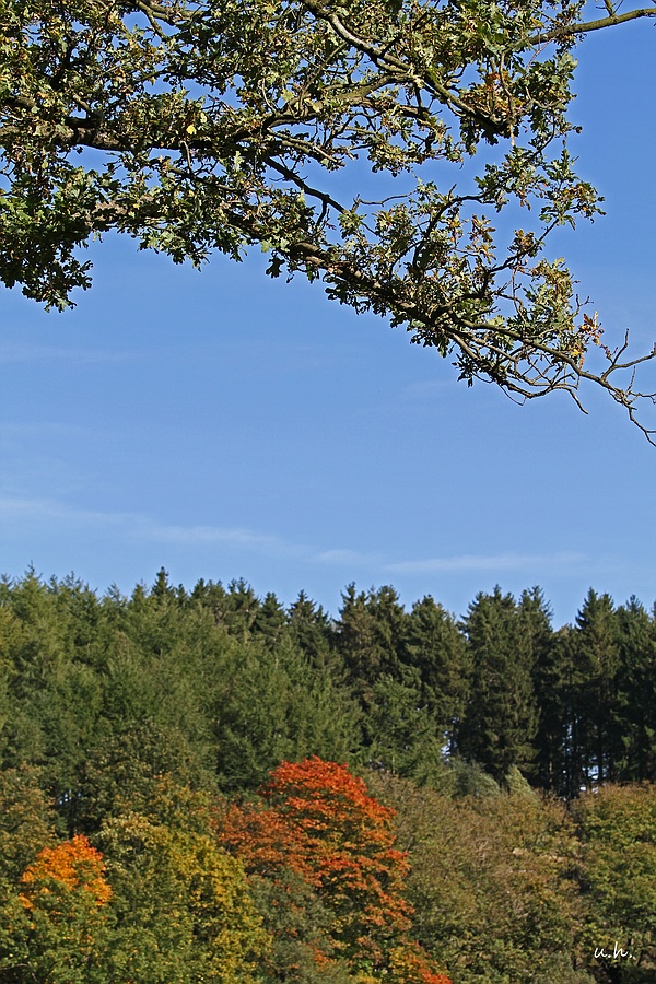 "Herbst an der Heilenbecker Talsperre"