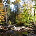 Herbst an der Hill