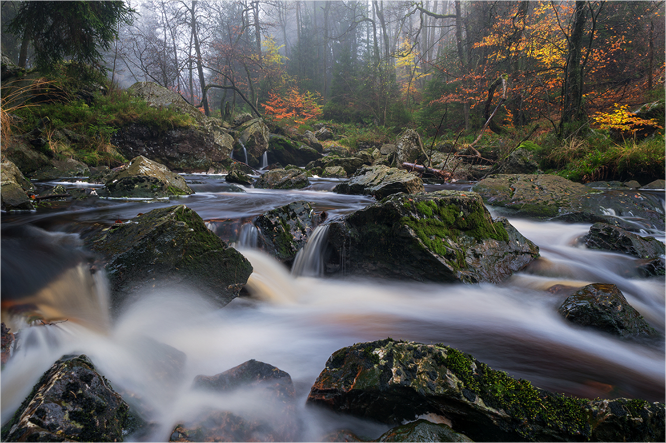 Herbst an der Hoegne