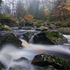 Herbst an der Hoegne