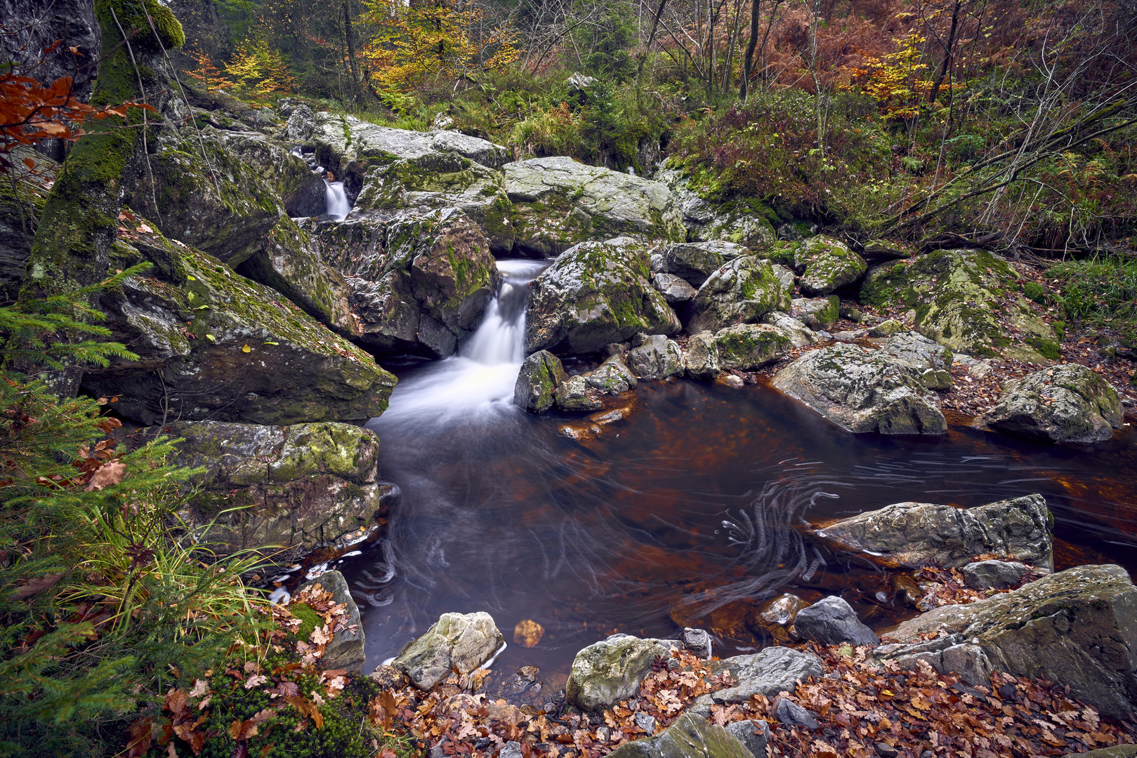 Herbst an der Hoëgne II