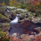 Herbst an der Hoëgne II