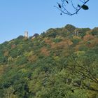 Herbst an der Hohensyburg