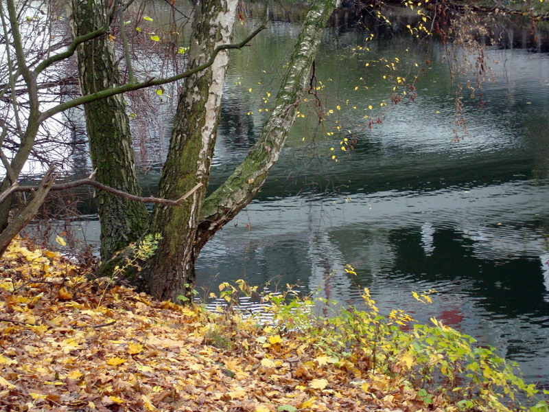 Herbst an der Ihme / Autumn on river Ihme