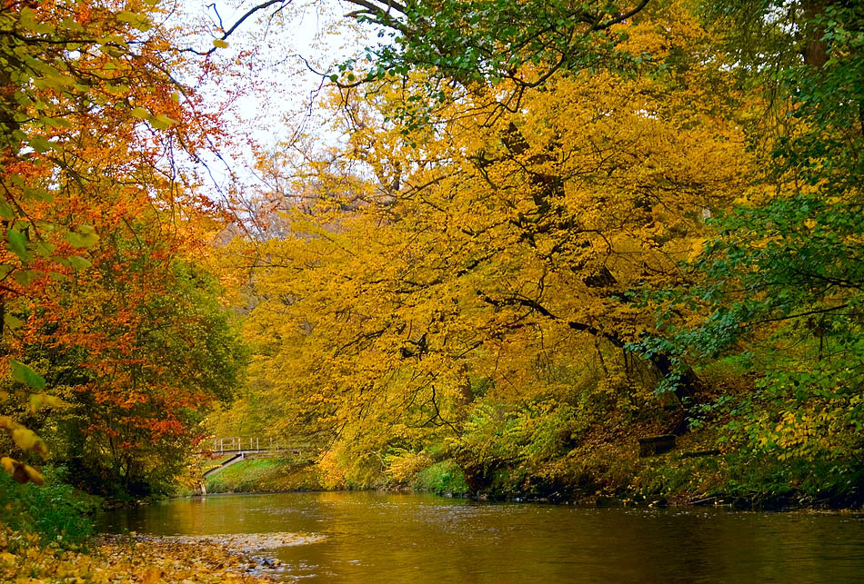 Herbst an der Ilm