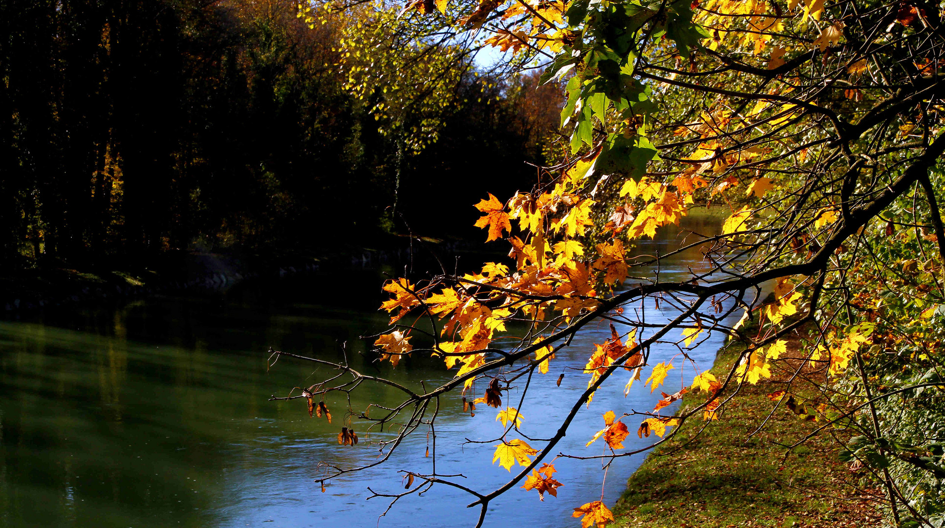 Herbst an der Isar