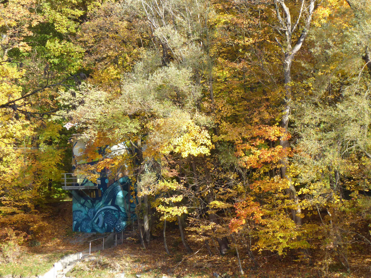 Herbst an der Isar....