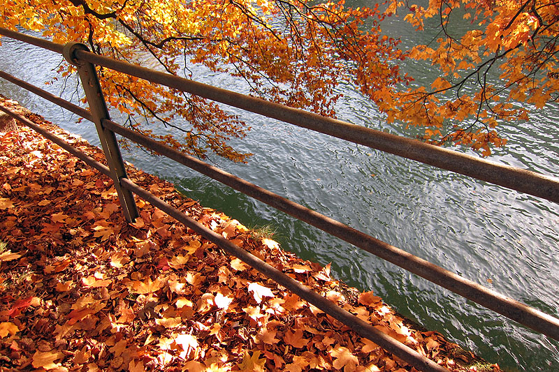 Herbst an der Isar