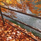 Herbst an der Isar