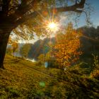 Herbst an der Isar