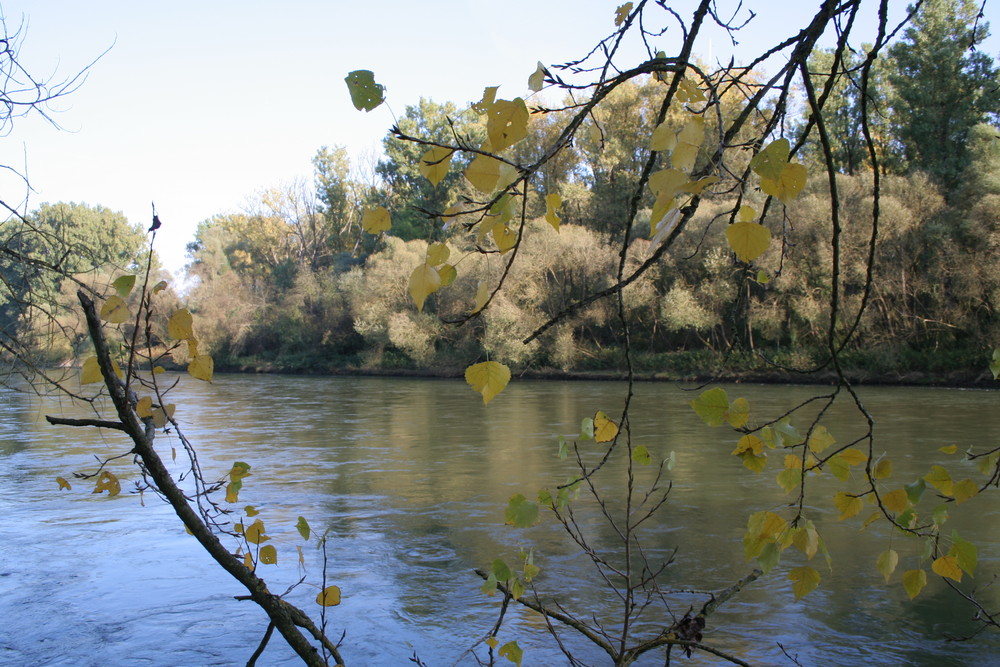 Herbst an der Isar