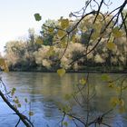 Herbst an der Isar