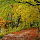 Herbst an der Isar