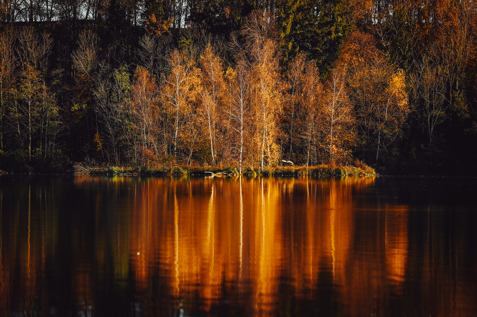 Herbst an der Isar