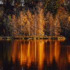 Herbst an der Isar