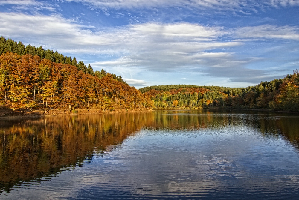 Herbst an der Jubach III