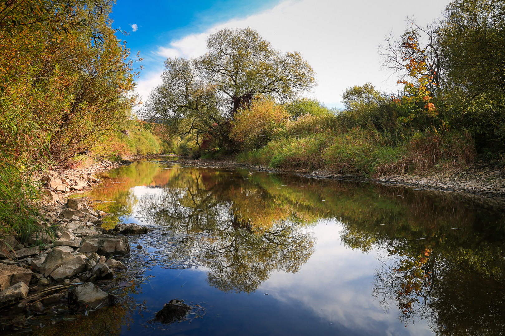 Herbst an der jungen Donau