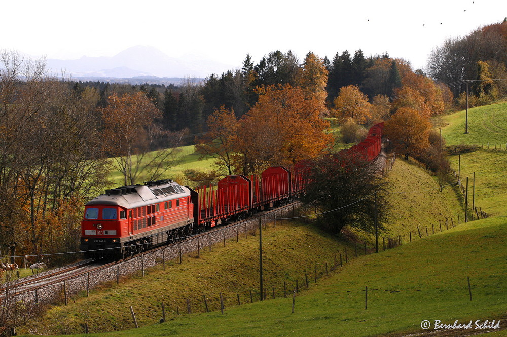 Herbst an der KBS 945 "Süd" (III)