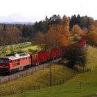 Herbst an der KBS 945 "Süd" (III)