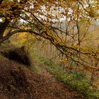 Herbst an der Kiesgrube von Hamburg Sülldorf