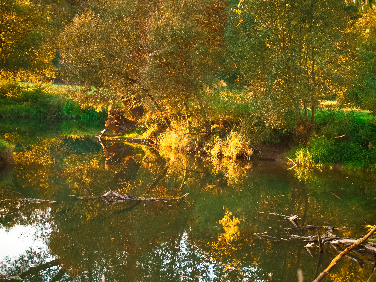 Herbst an der Kinzig bei Aufenau