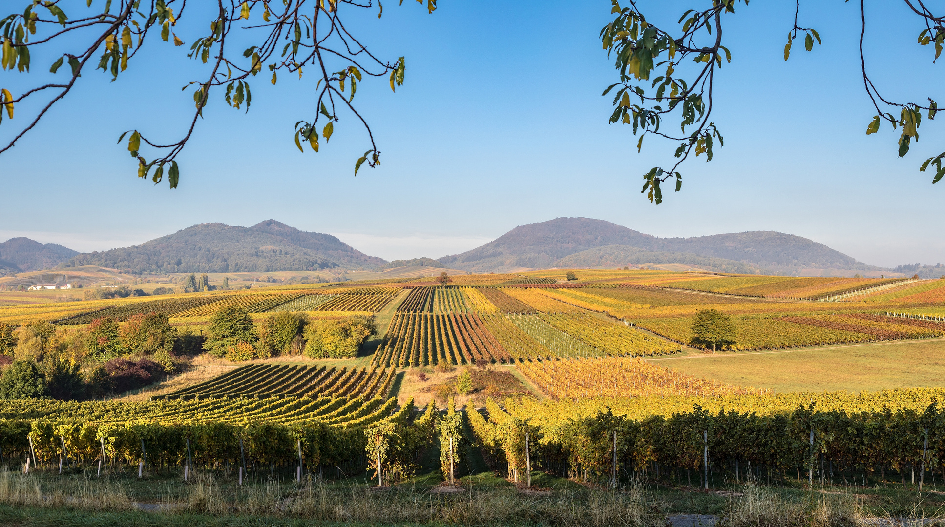 Herbst an der Kleinen Kalmit