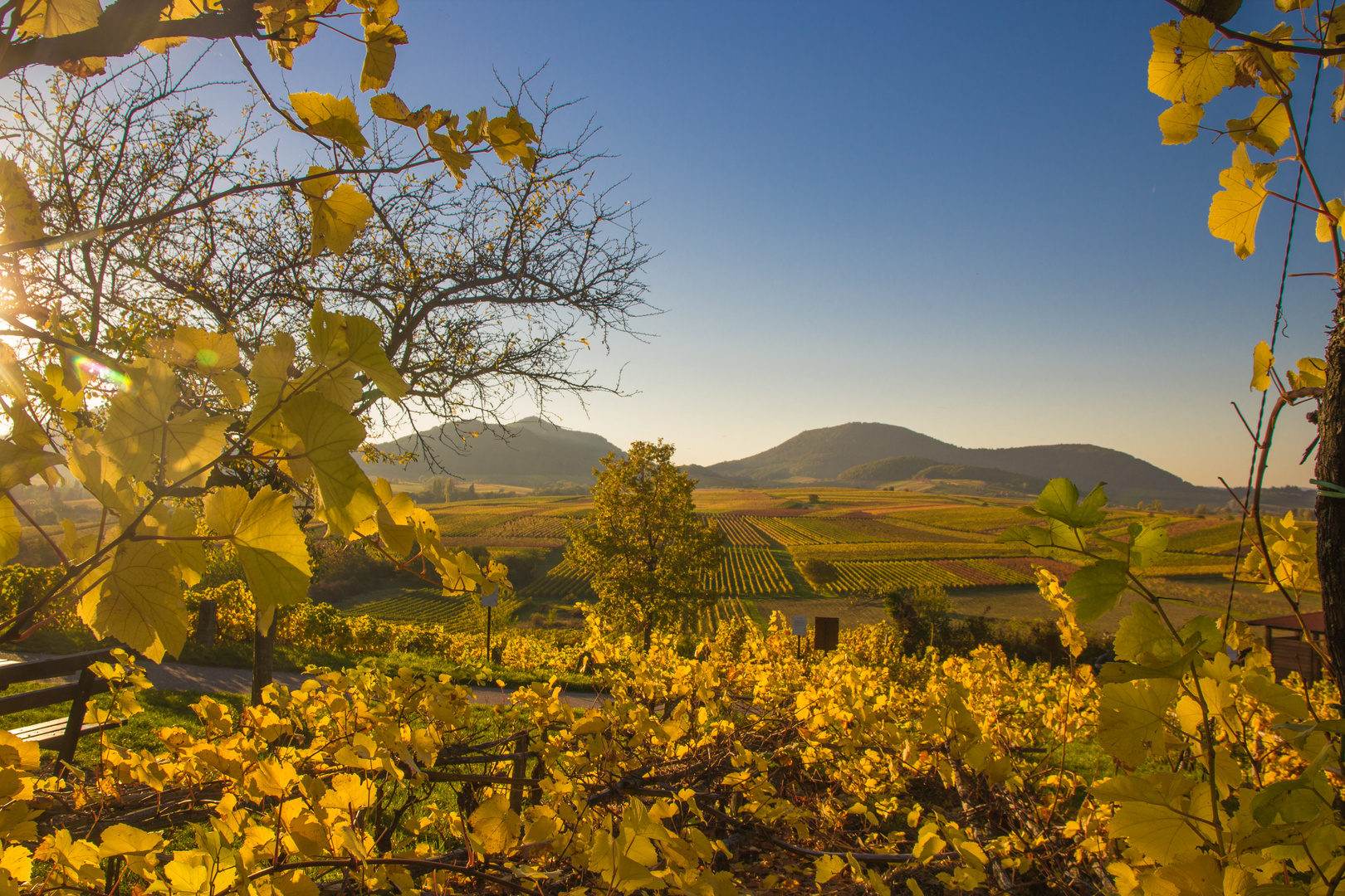 Herbst an der Kleinen Kalmit