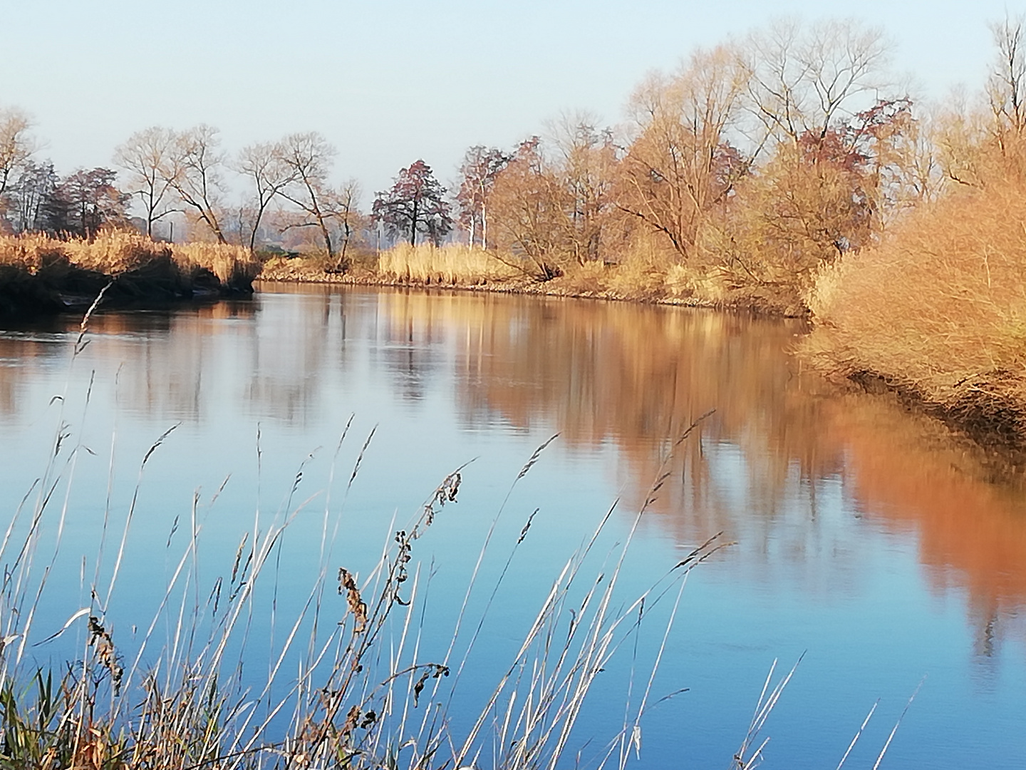 Herbst an der kleinen Wümme 