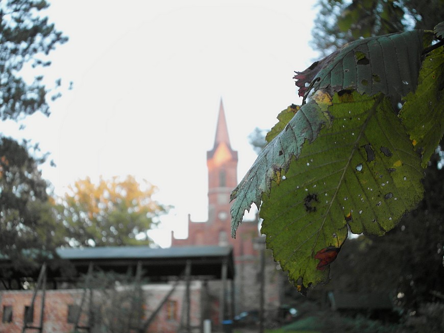 Herbst an der Klosterruine zu Altfriedland