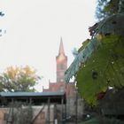 Herbst an der Klosterruine zu Altfriedland