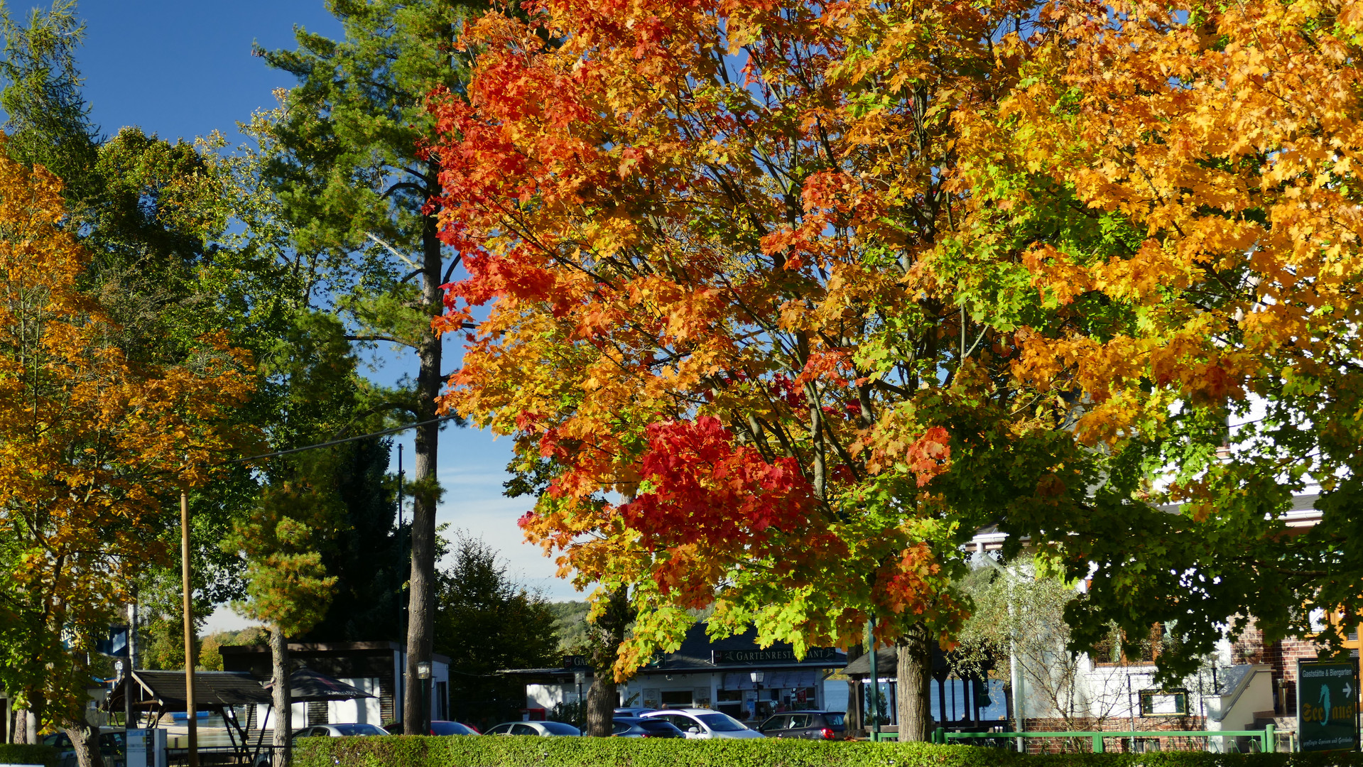 Herbst an der Koberbachtalsperre