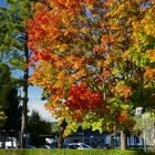 Herbst an der Koberbachtalsperre