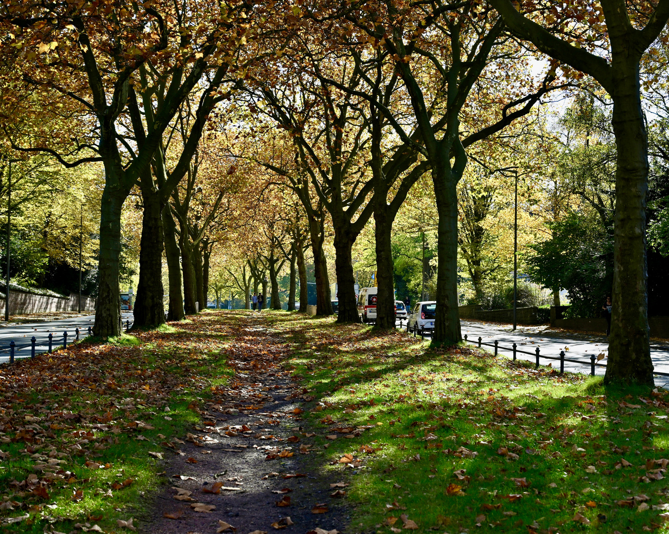 Herbst an der Kö