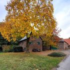 Herbst an der Kühlsegger Mühle