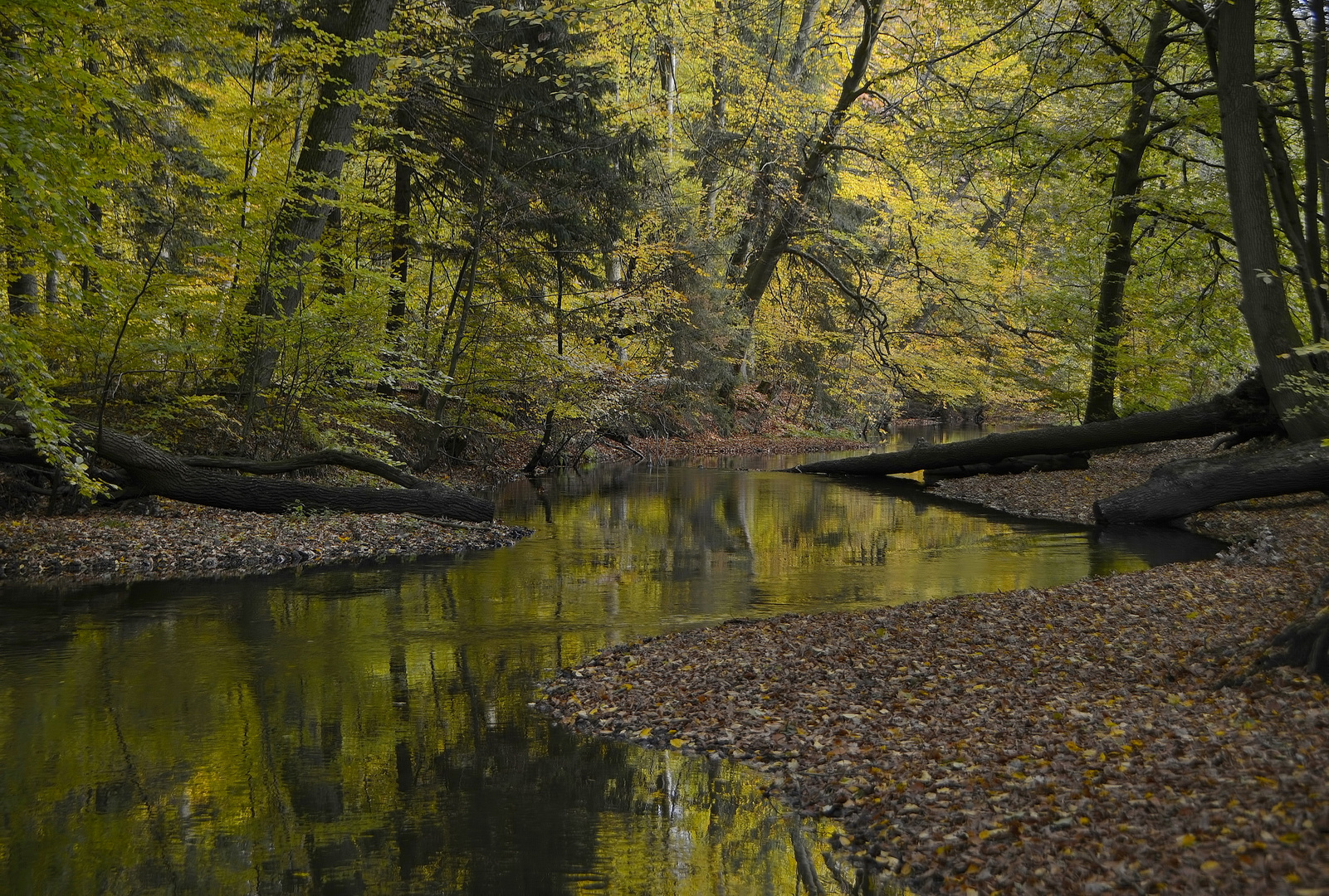 Herbst an der Lachte