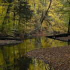 Herbst an der Lachte