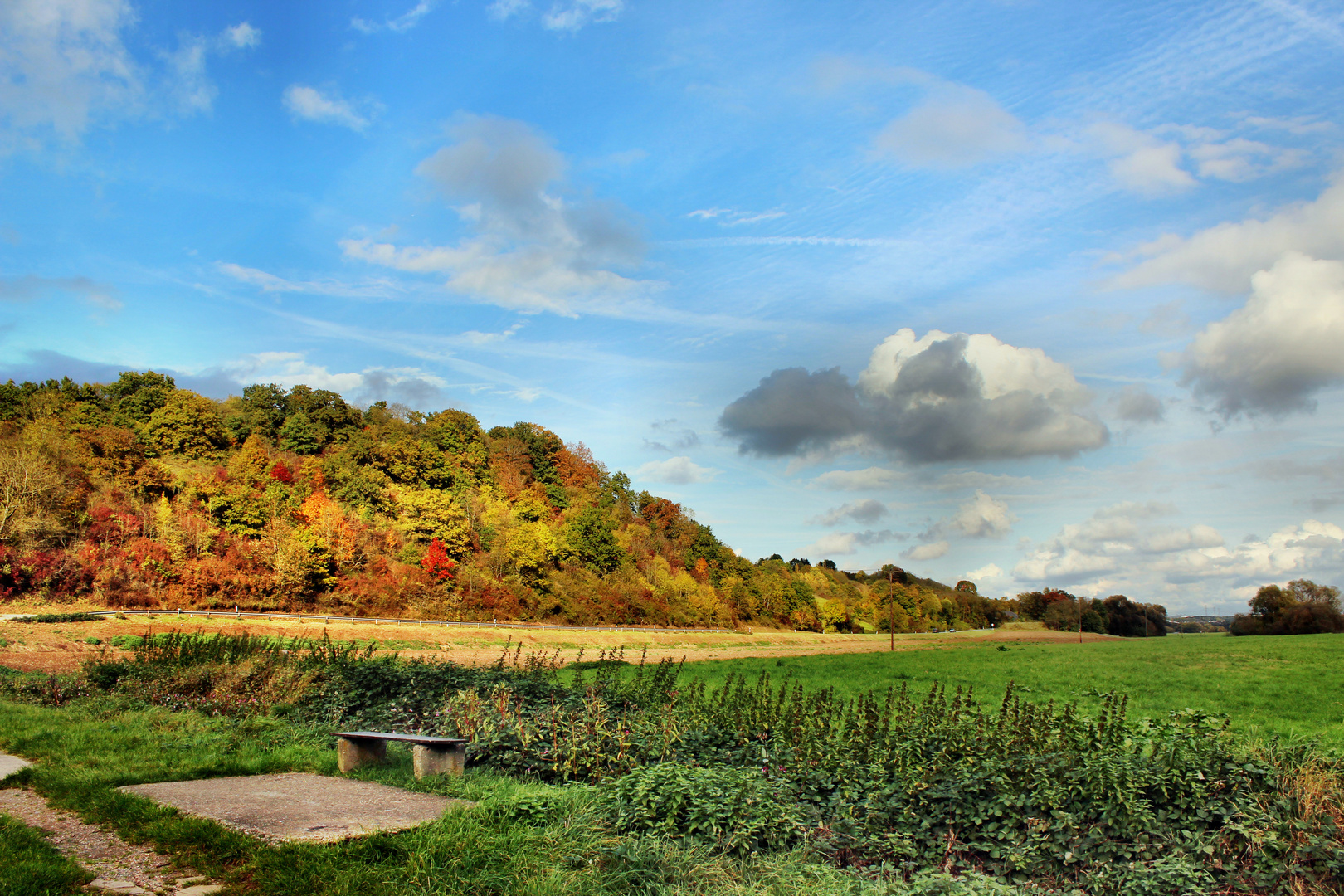 Herbst an der Lahn unter Oranienstein